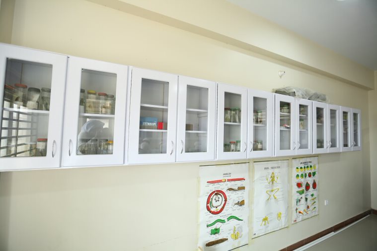 BIO 1